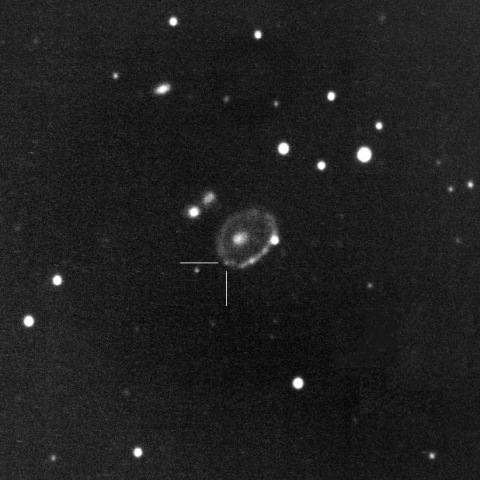 SN2021afdx in ESO 350-40