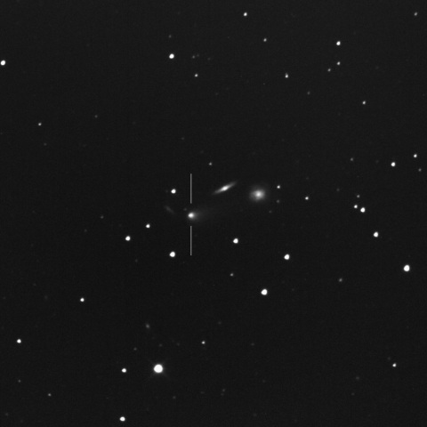 116P/Wild and three galaxies