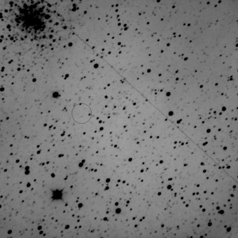 西村彗星の予報位置