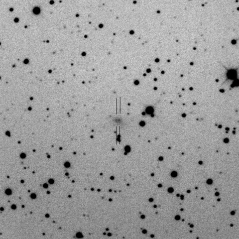 核が分裂したシフレオ彗星