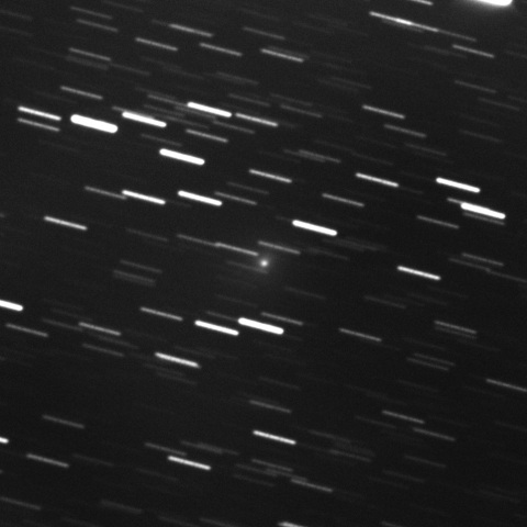 C/2021 F1 Lemmon-PanSTARRS