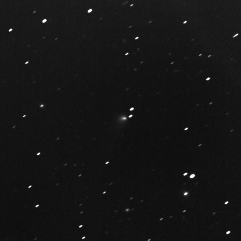 ソニア彗星