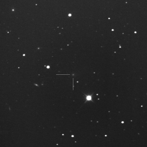 小島彗星