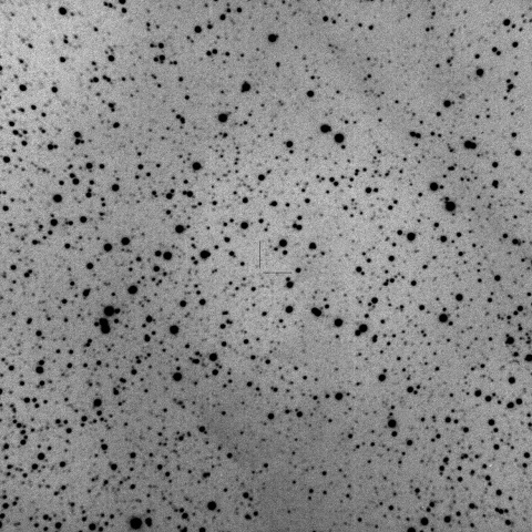 シューメーカー‐レビー彗星