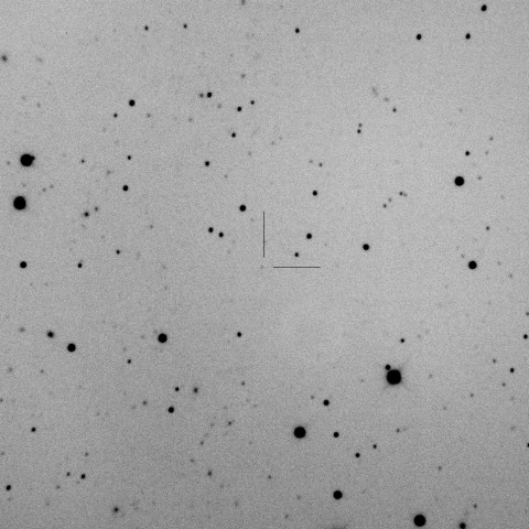 443P/PanSTARRS-Christensen