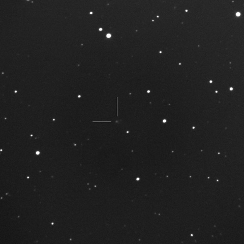 395P/Catalina-NEAT