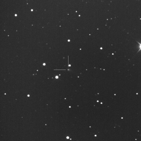 395P/Catalina-NEAT