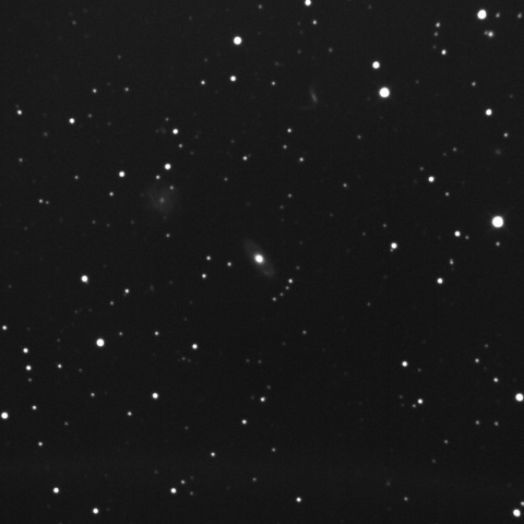 NGC6491