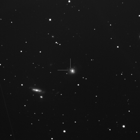 SN2022mvx in NGC7769