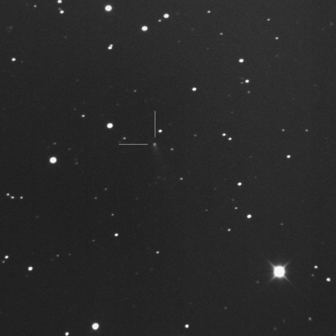 C/2020 F5 MASTER