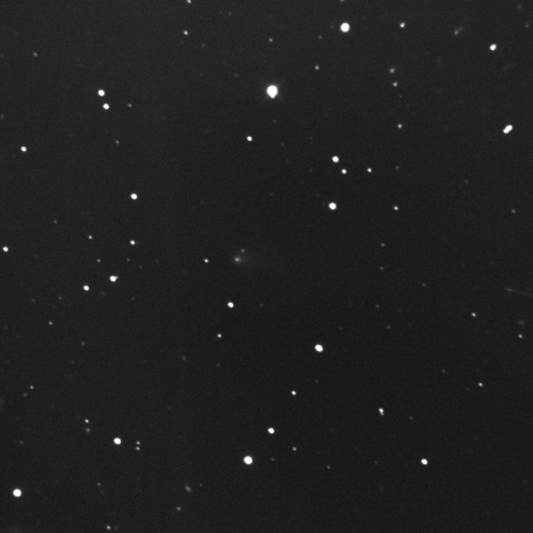 61P/Shajn-Schaldach