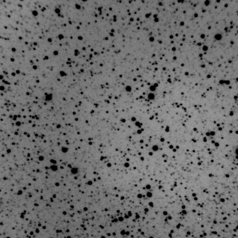 GRB221009Aの残光（捉えられず）