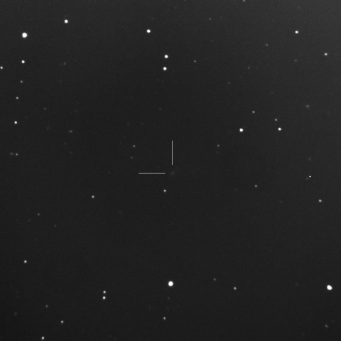 204P/LINEAR-NEAT