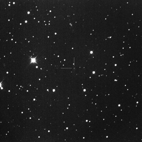 C/2019 O3 (Palomar)