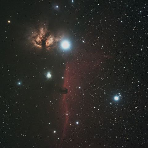 燃える木＆馬頭星雲