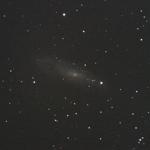 ちょうこくしつ座NGC247銀河