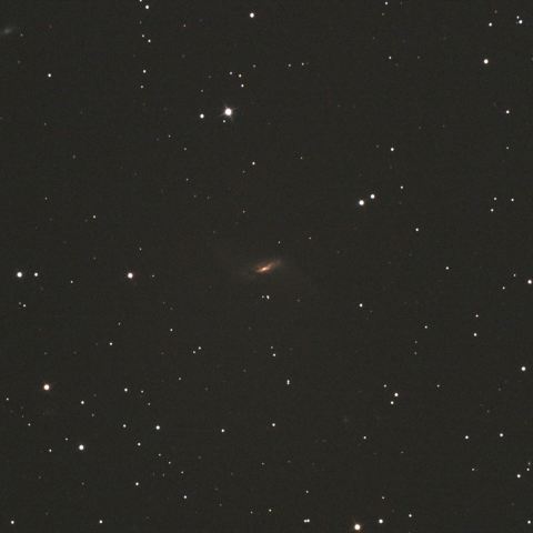 うお座NGC660銀河