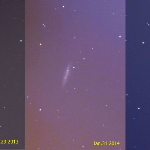 M82の超新星（発見前、発見後、その後）