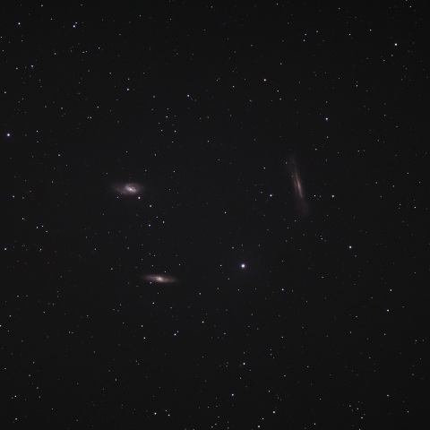 しし座のトリオ銀河