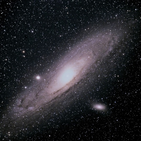 M31