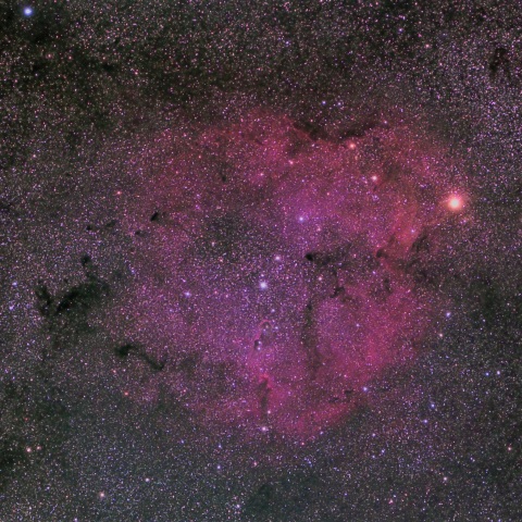 ガーネットスターとIC1396