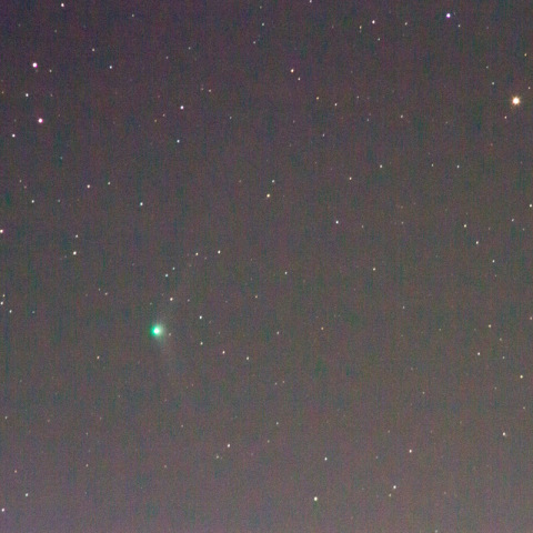 カタリナ彗星　12/4