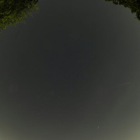 ペルセウス座流星群