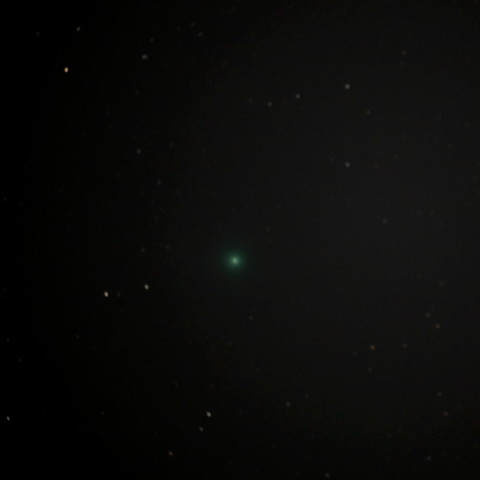 ラヴジョイ彗星