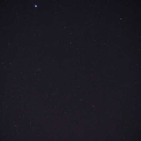 シリウス・ムルジムとM41散開星団