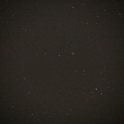 ラヴジョイ彗星