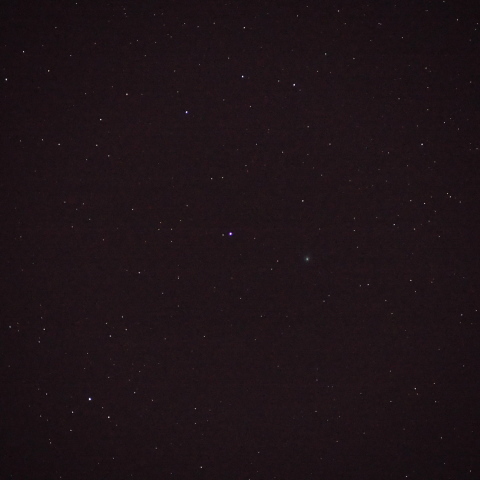 ラヴジョイ彗星2月20日