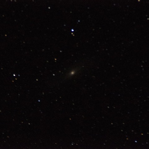 M31