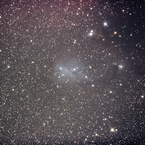 IC2169