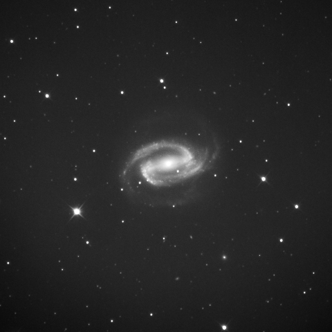 NGC1300