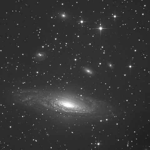 NGC7331