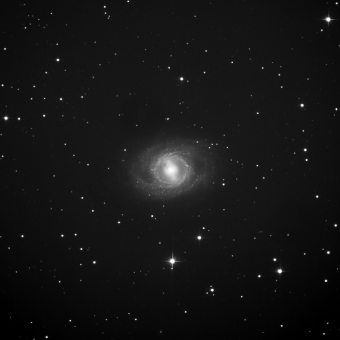 M95