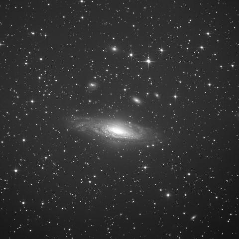 NGC7331