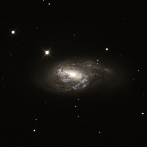 M66