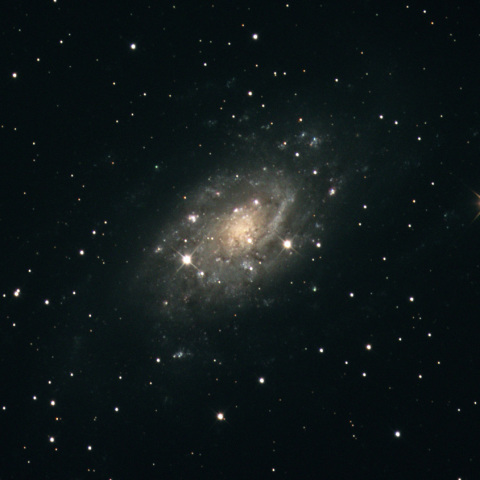 NGC2403
