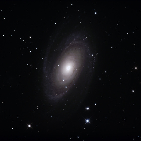 M81