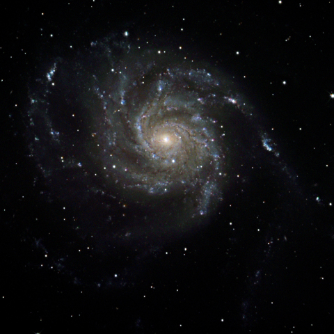 M101