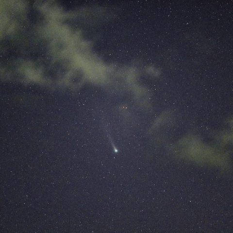 11日のレナード彗星