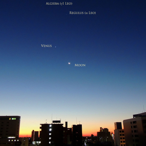 10/13 明け方に接近する月・金星と、しし座の星