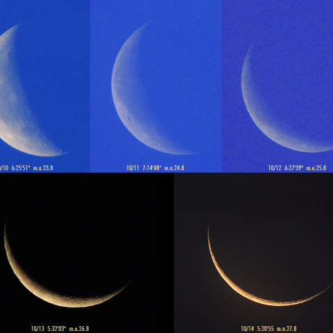10/10～14の朝の月
