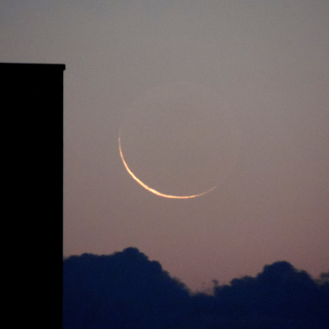 11/13 月齢28.4 新月前日