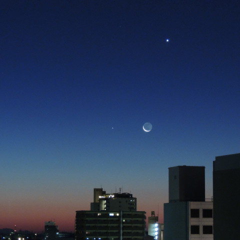 12/12朝 金星・水星と細い月