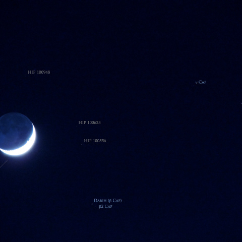 月とやぎ座の星々