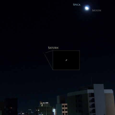 1/6未明 接近する月・スピカと、土星