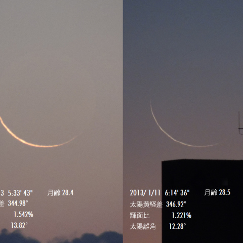 1/11 月齢28.5 (昨年11/13と細さ比較)