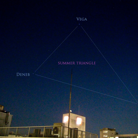 1/30 早くも夏の大三角